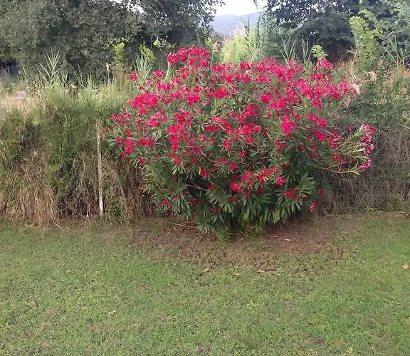 Дом отдыха Niki